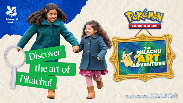 Pikachu Art Adventure Autumn Banner
